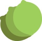 The LimeTech approach