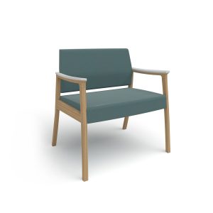 MODERN AMENITY